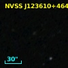 NVSS J123610+464709