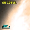 SN 1981K