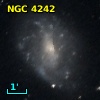 NGC  4242