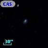 CASG 1562