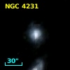 NGC  4231