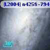 [L2004] n4258-794
