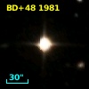 BD+48  1981