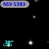 NSV  5393