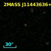 2MASS J11443636+4642328