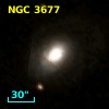 NGC  3677