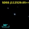 CBS 433