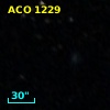 ACO  1229