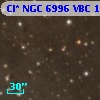Cl* NGC 6996    VBC    1238