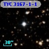 TYC 3167-1-1