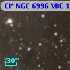Cl* NGC 6996    VBC    1317