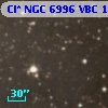 Cl* NGC 6996    VBC    1319