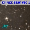Cl* NGC 6996    VBC    1321