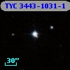 TYC 3443-1031-1
