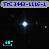 TYC 3443-1116-1