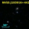 NVSS J103916+442820