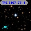 TYC 3167-75-1