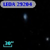 LEDA   29204