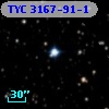 TYC 3167-91-1
