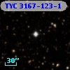 TYC 3167-123-1