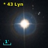 *  43 Lyn