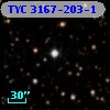 TYC 3167-203-1
