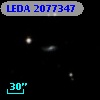 LEDA 2077347