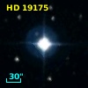 HD  19175