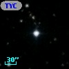 TYC 1795-1084-1