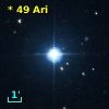 *  49 Ari