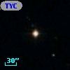 TYC 1228-1295-1