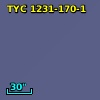 TYC 1231-170-1