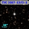 TYC 3167-1373-1