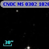 CNOC MS 0302   10266