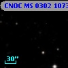 CNOC MS 0302   10732