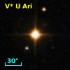 V* U Ari