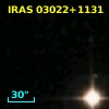 IRAS 03022+1131