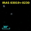 IRAS 03019+0230