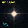 HD  18667