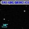 SAS-LBG Q0302-C160