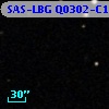 SAS-LBG Q0302-C166