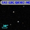 SAS-LBG Q0302-MD310