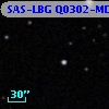 SAS-LBG Q0302-MD317