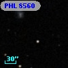 PHL  8560