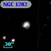NGC  1202