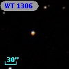 WT 1306
