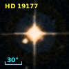 HD  19177