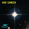 HD  19825