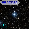 HD 202252