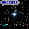 HD 202567